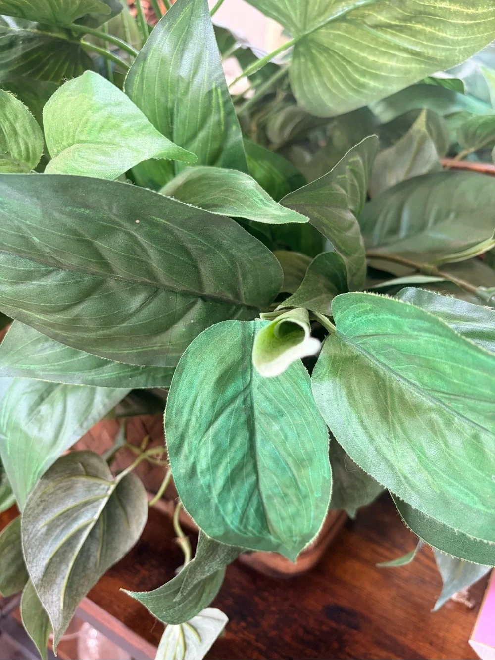 Artificial Green Leaf Pothos in Woven Planter - Green